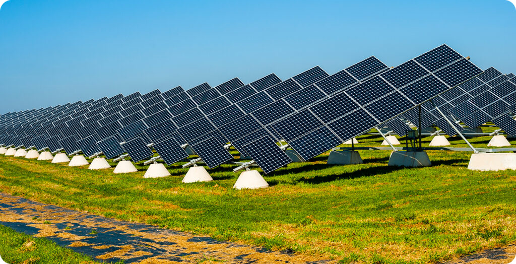 Pannelli solari nel campo fotovoltaico più grande d'Italia