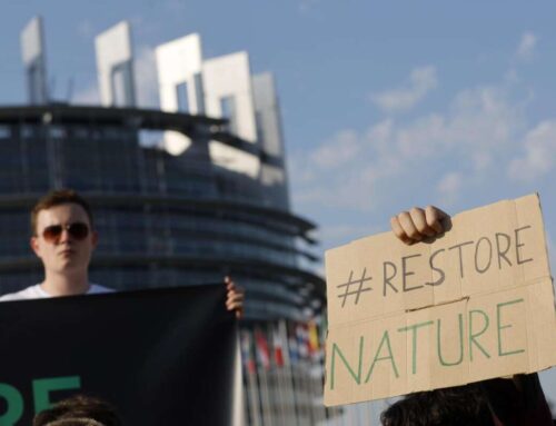 L’Europa approva la Nature Restoration Law: obiettivi, target e disaccordi.
